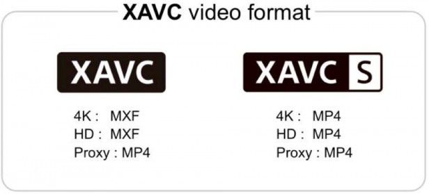 XAVC Codec Comparison
